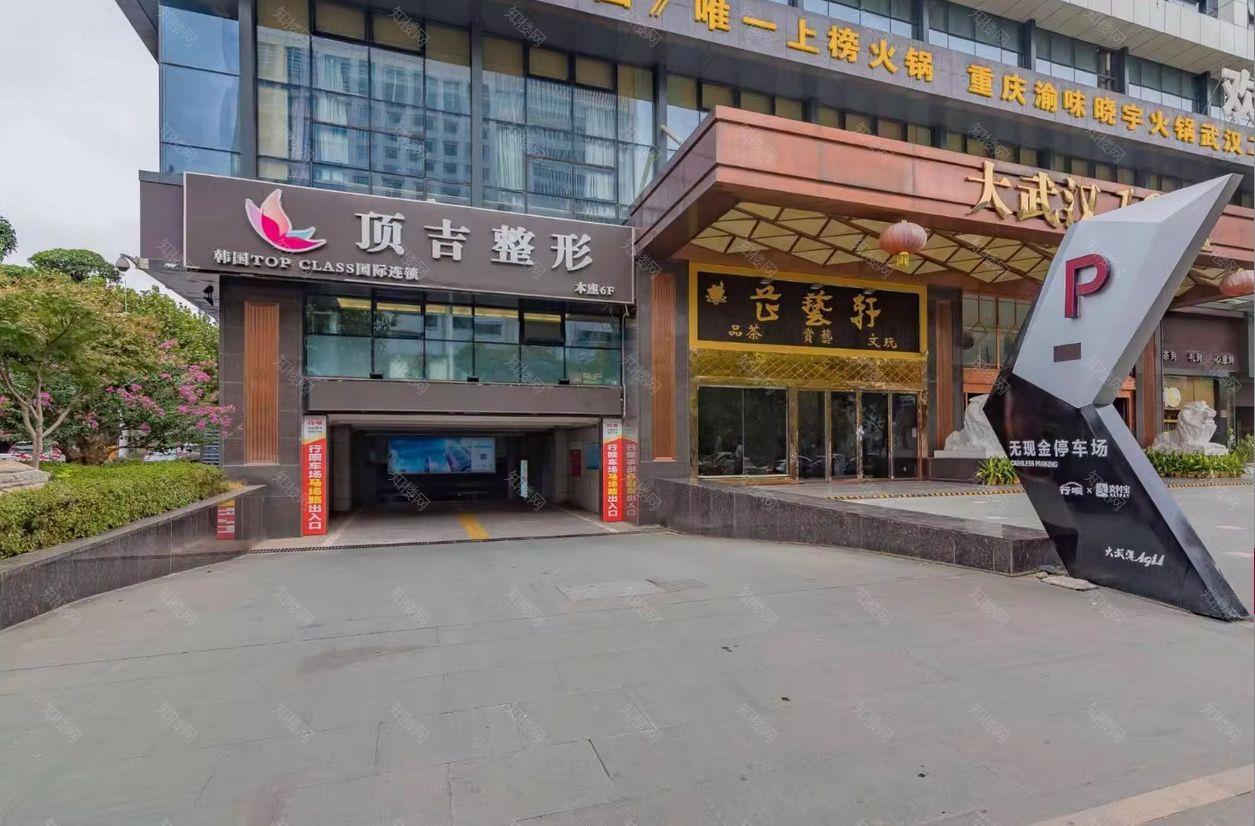 实景图