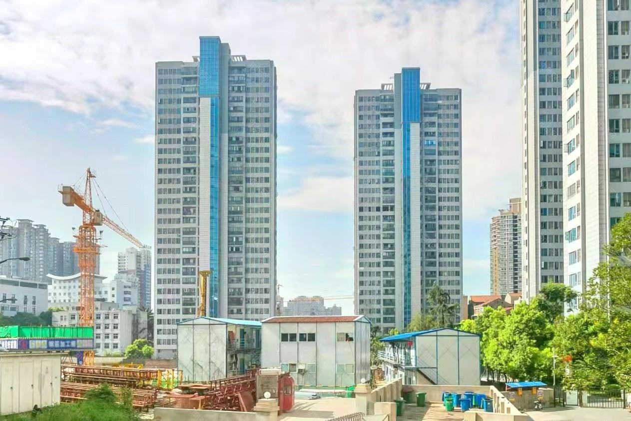 实景图