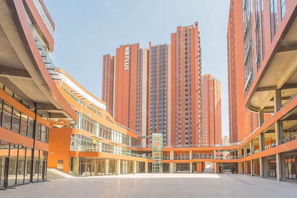 实景图