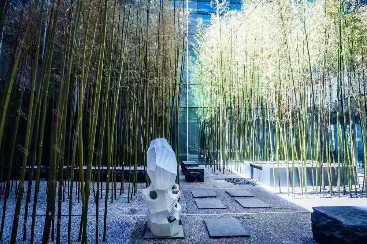 实景图