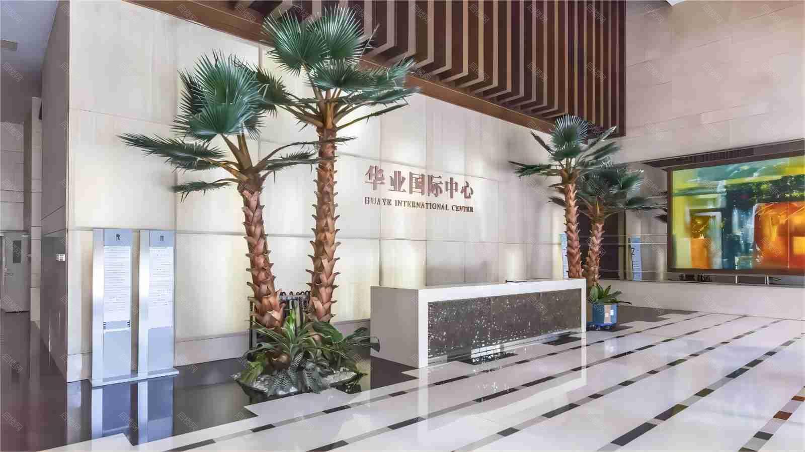 实景图