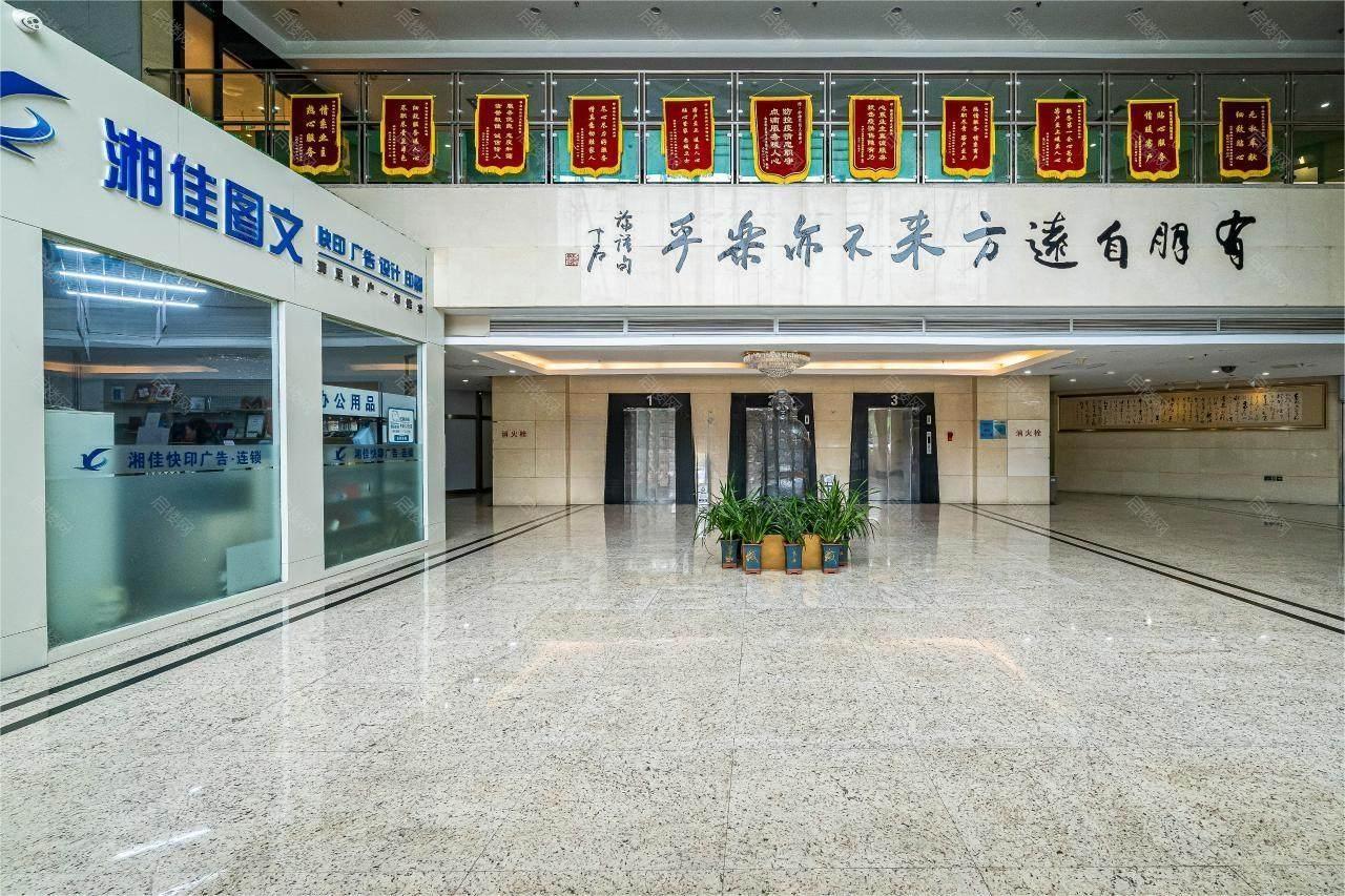 实景图