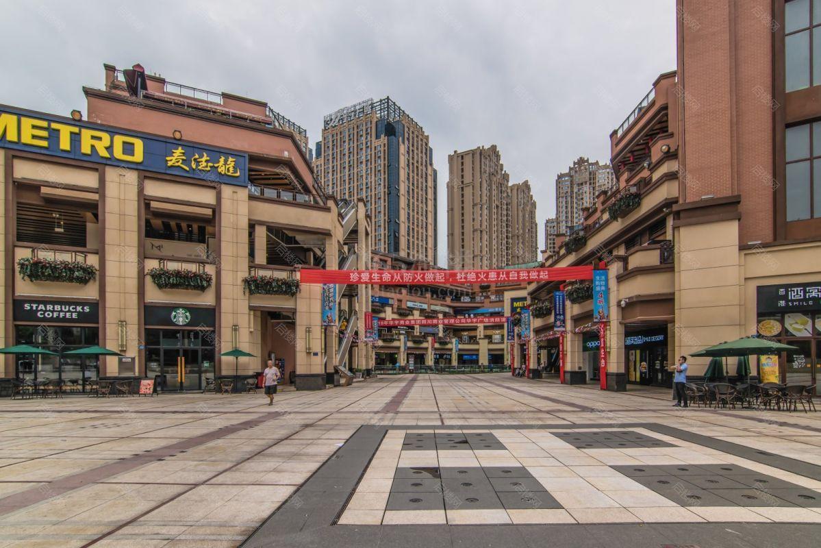 实景图
