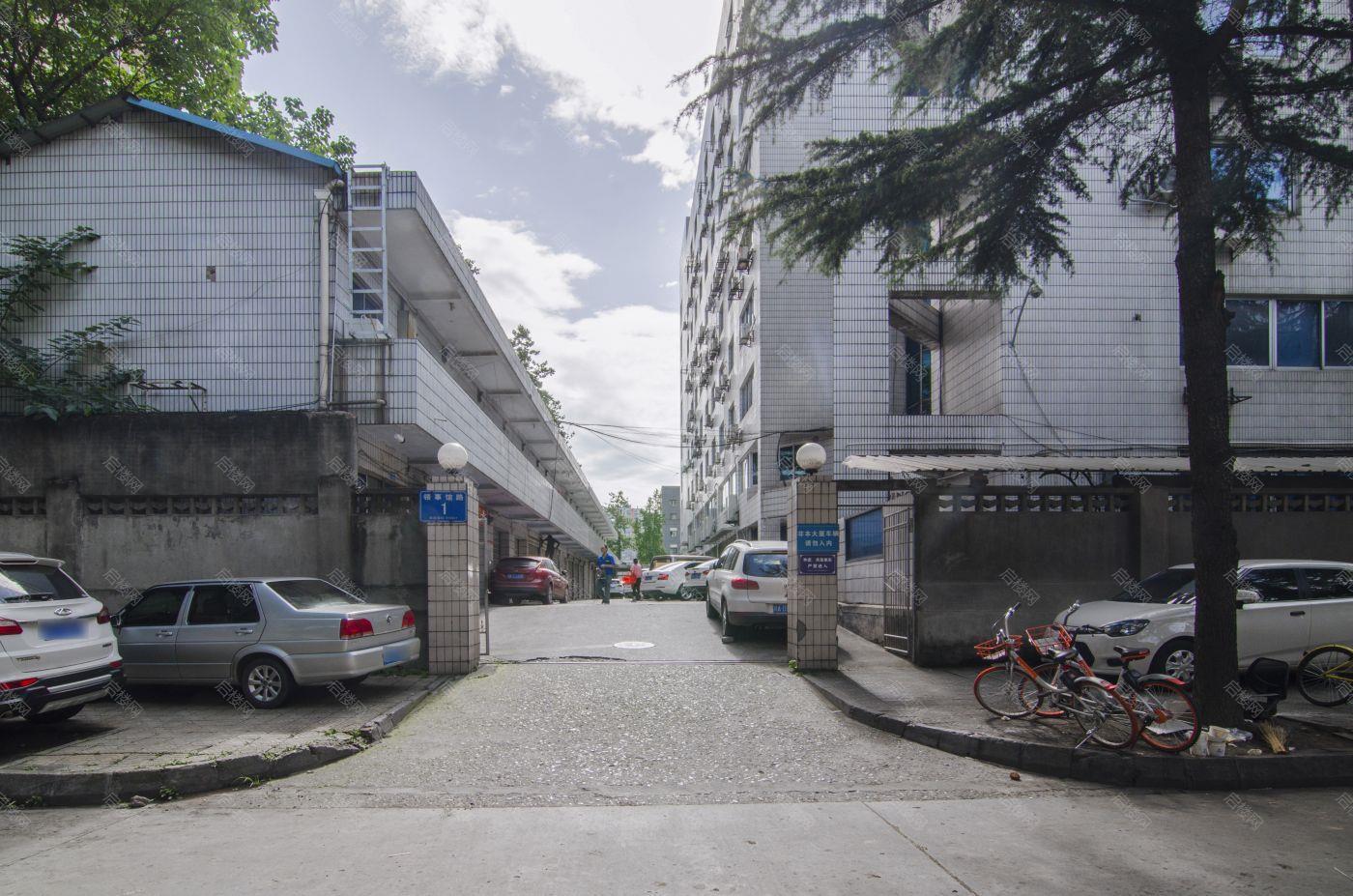 实景图