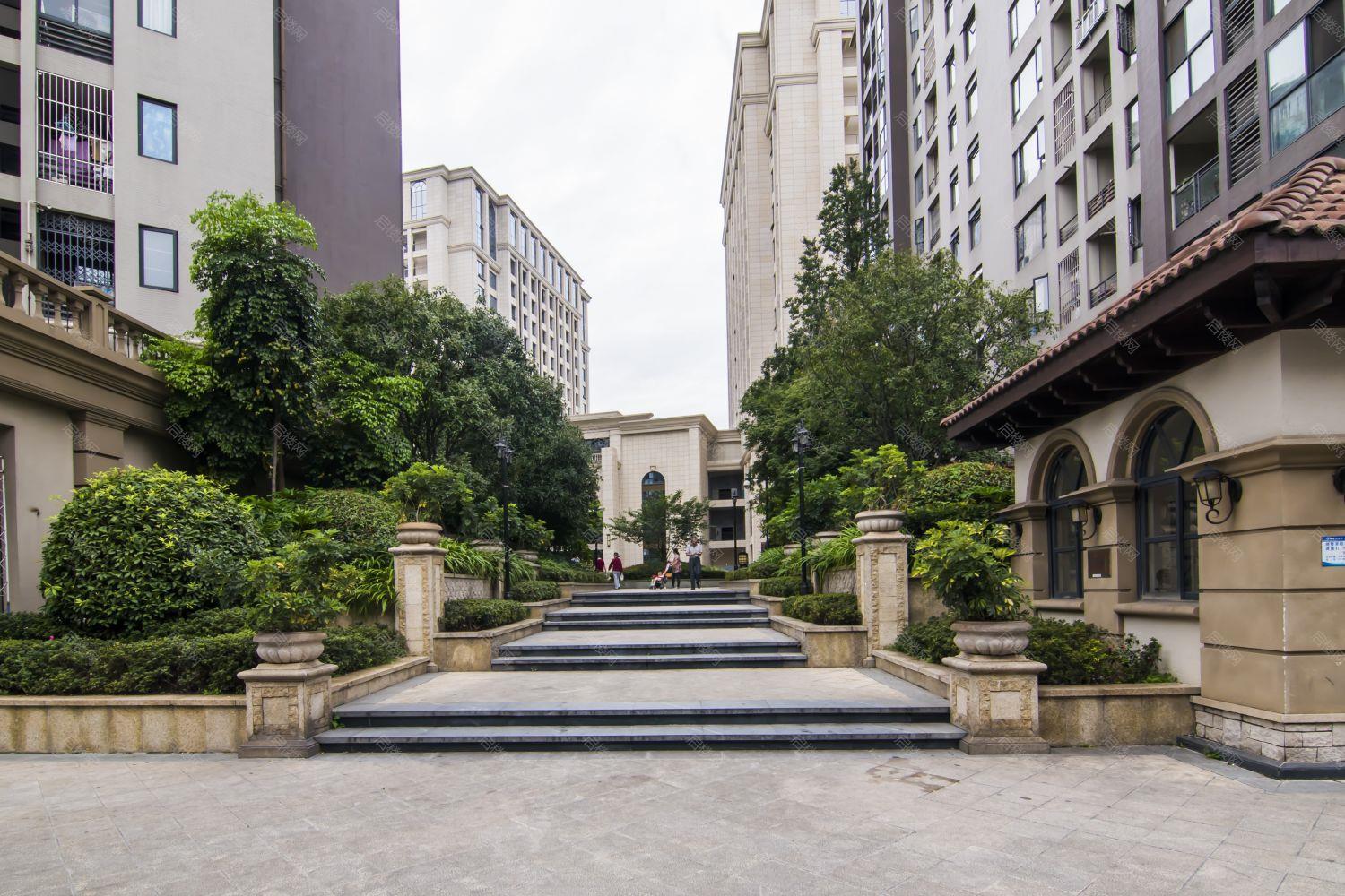 实景图