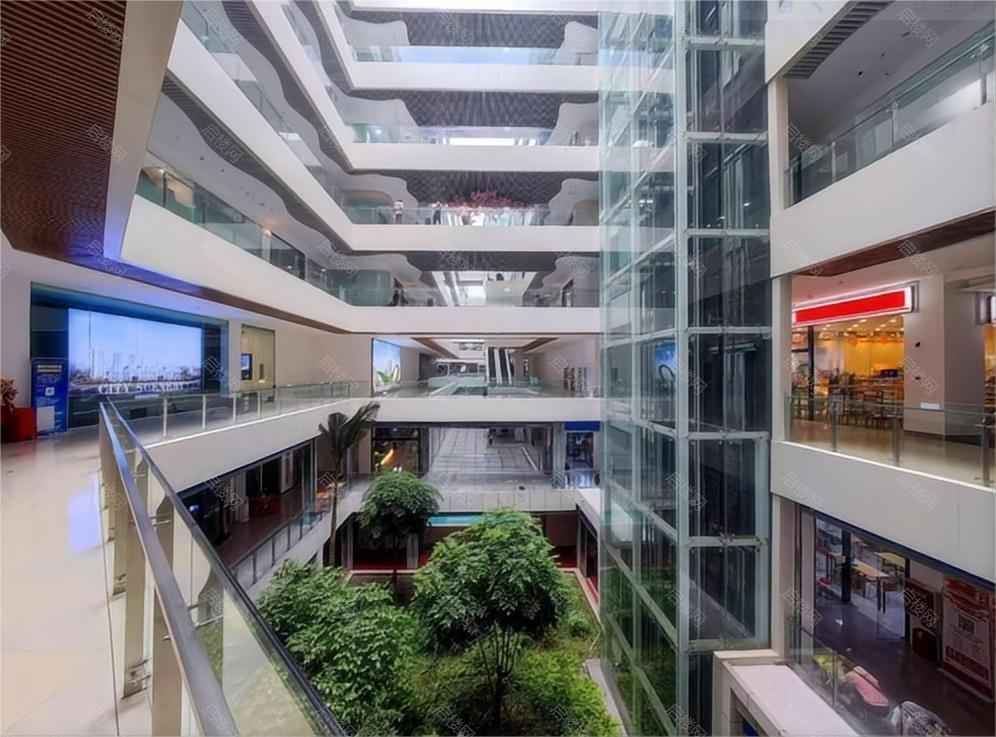 实景图