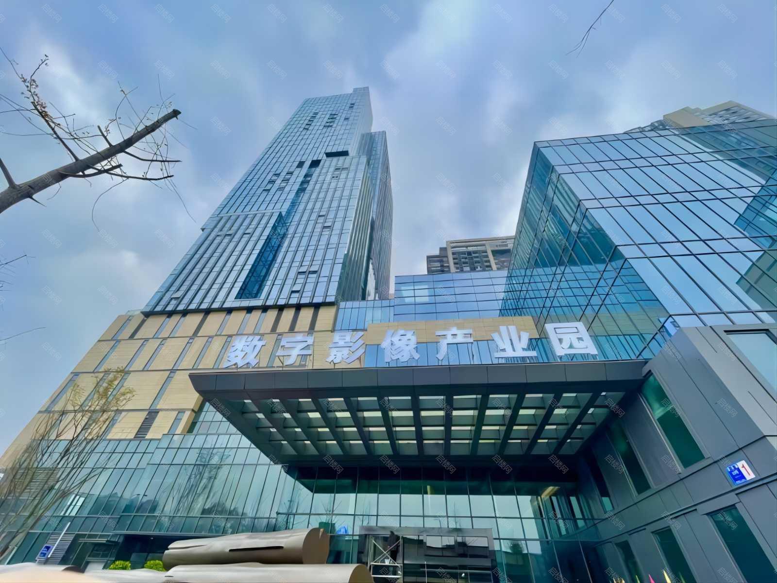 实景图
