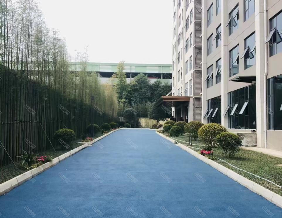 实景图