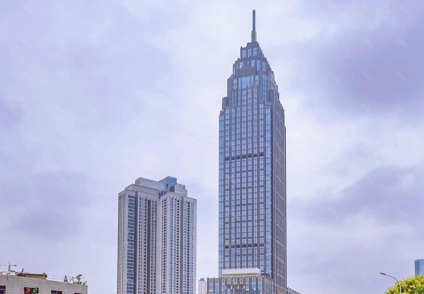 实景图