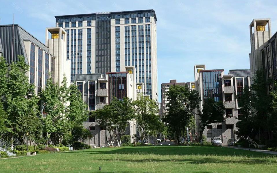 实景图