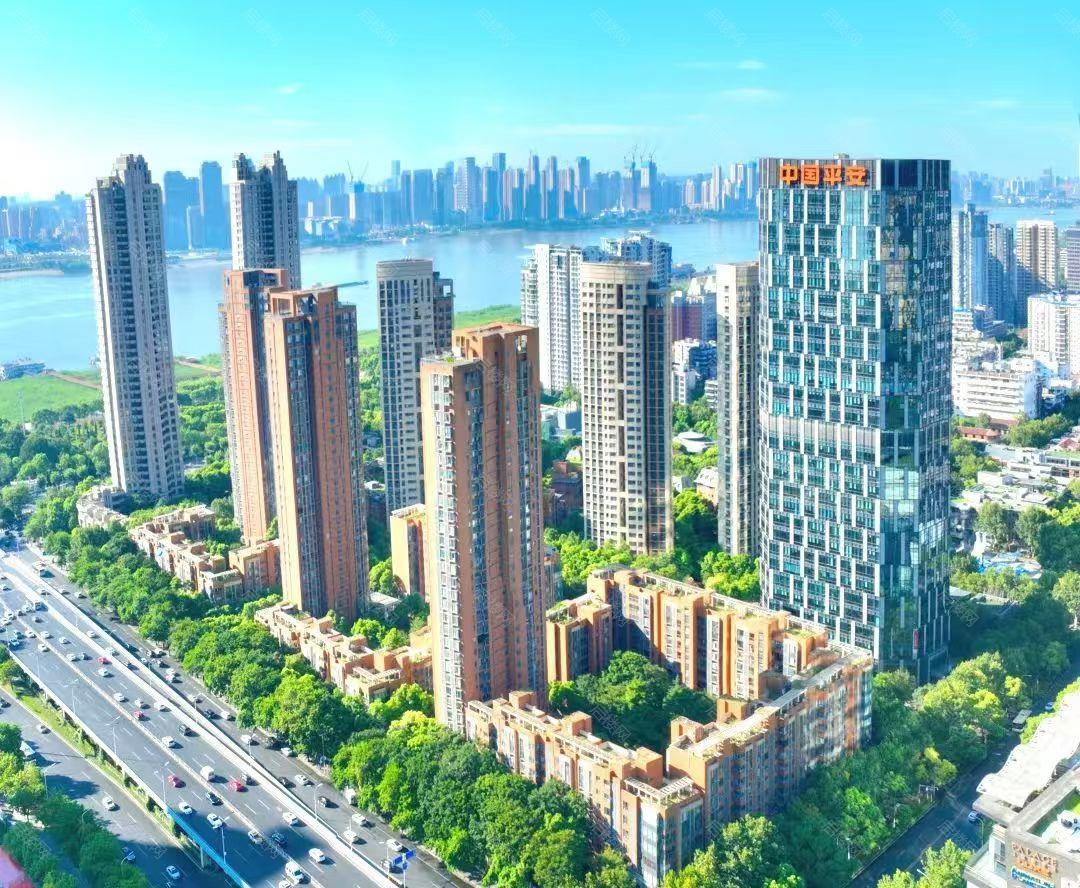 实景图