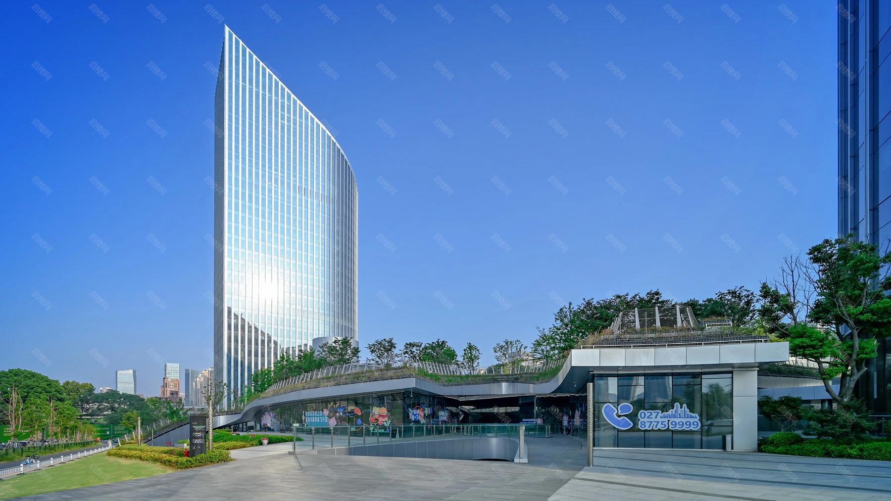 实景图