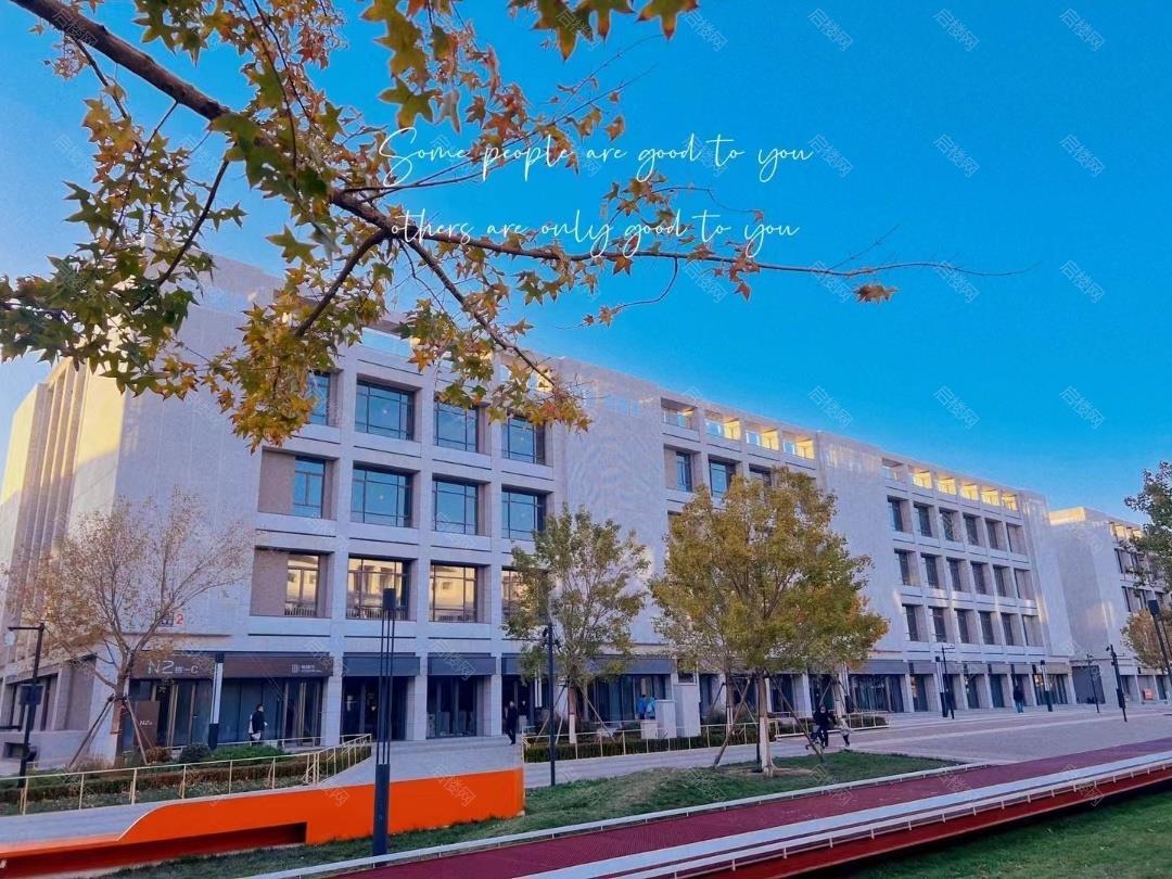 实景图