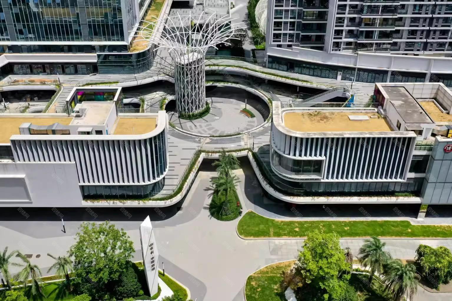 实景图