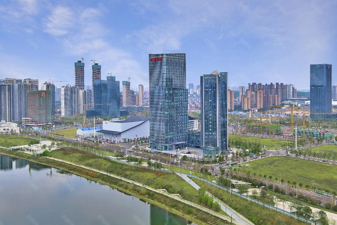实景图