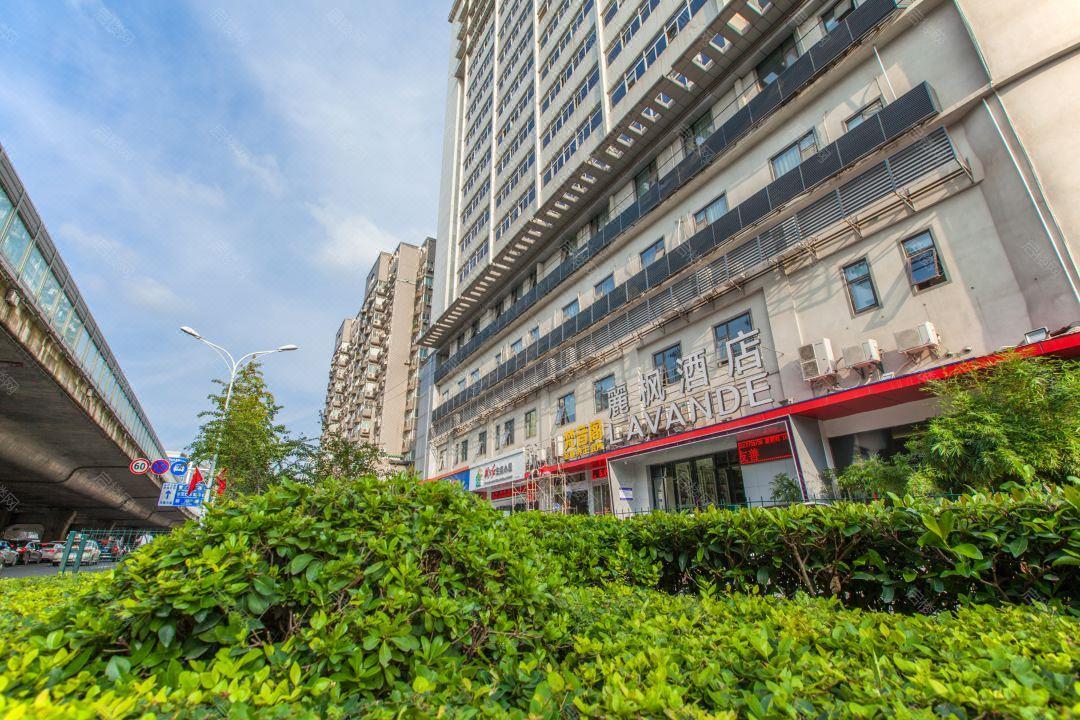 实景图