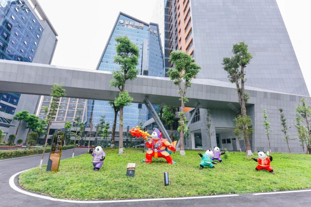 实景图