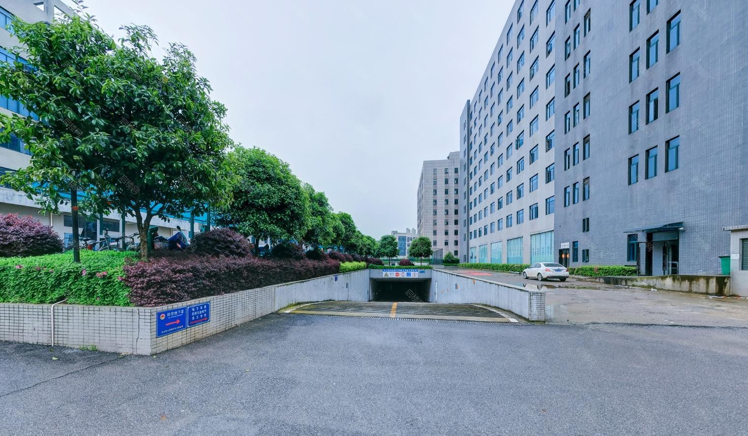 实景图