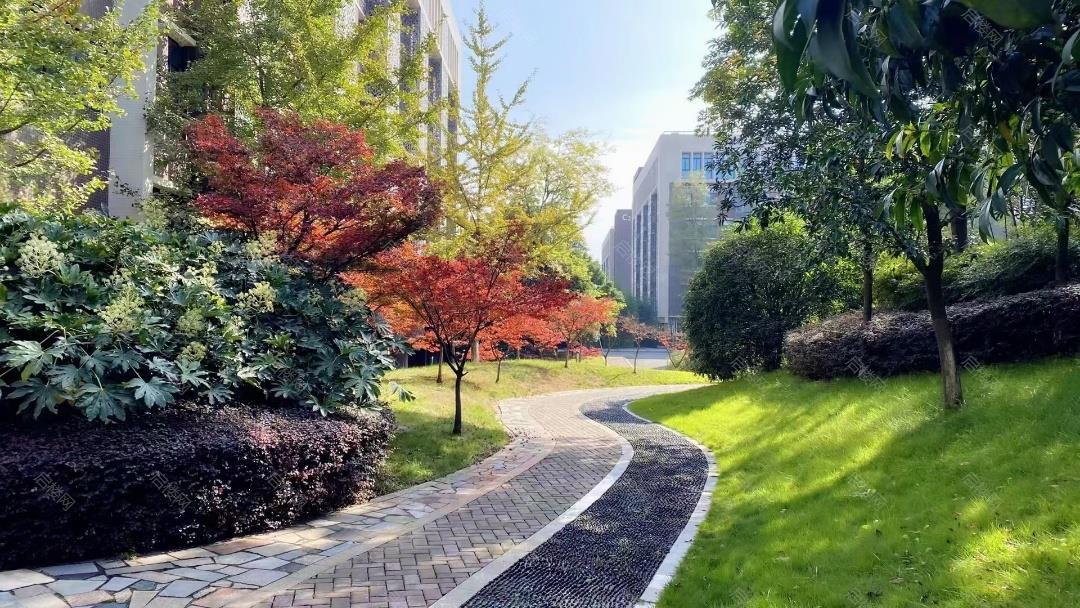 实景图