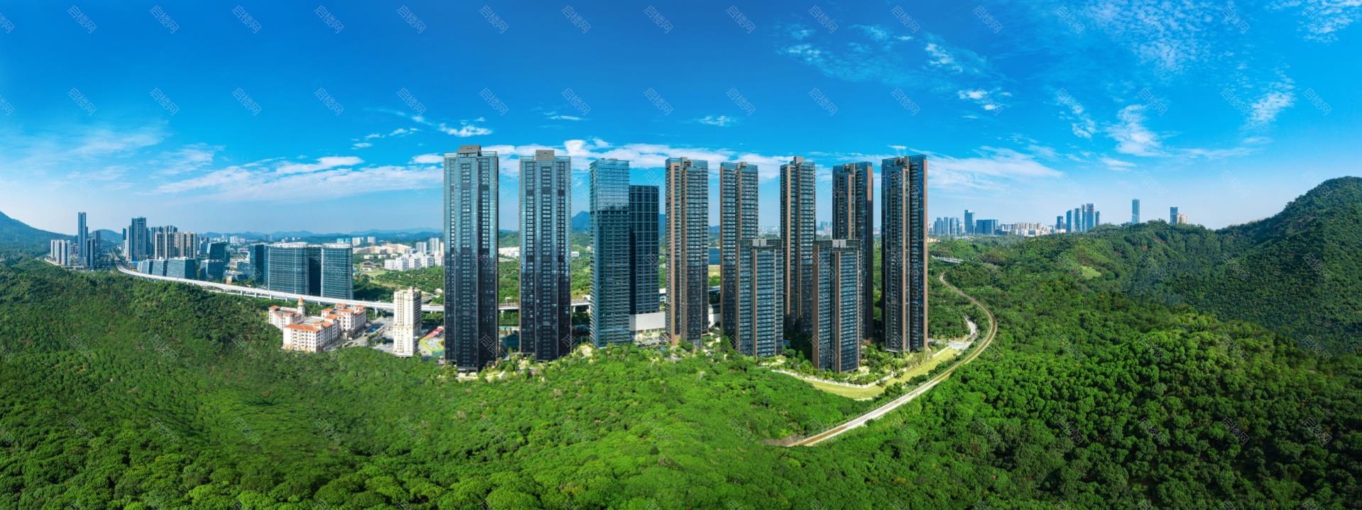 实景图