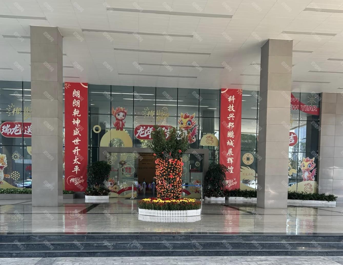 实景图