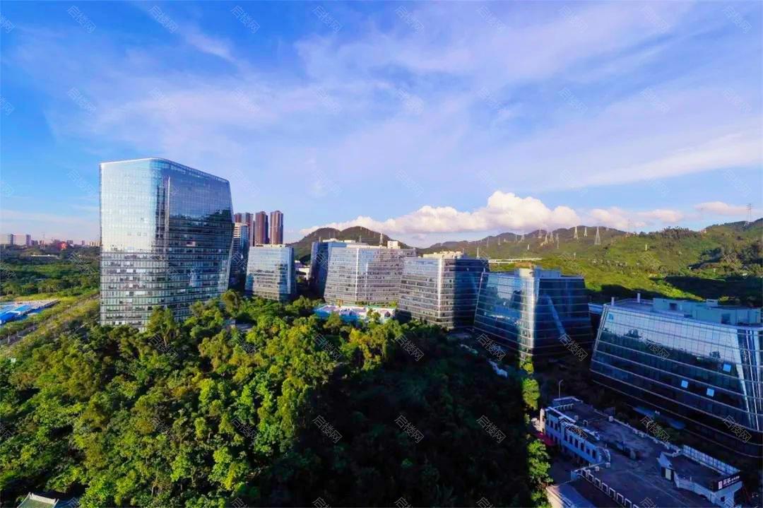 实景图
