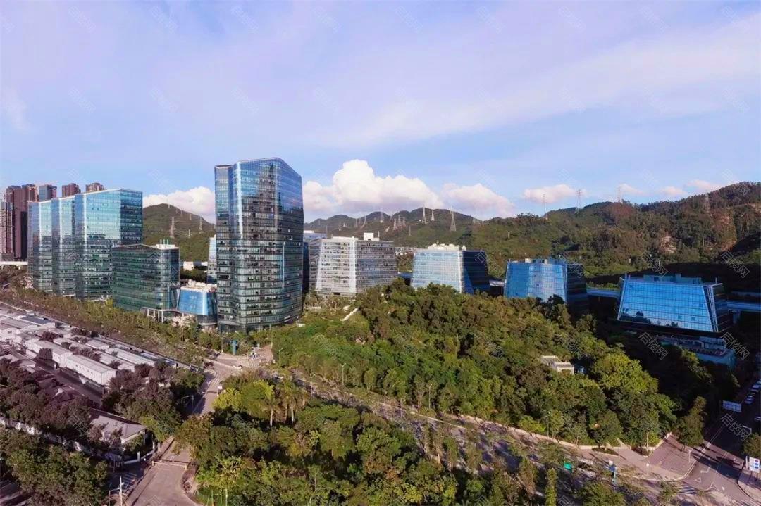 实景图
