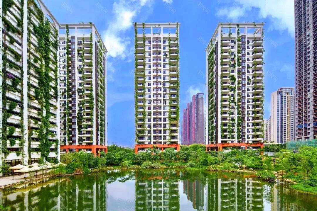 实景图