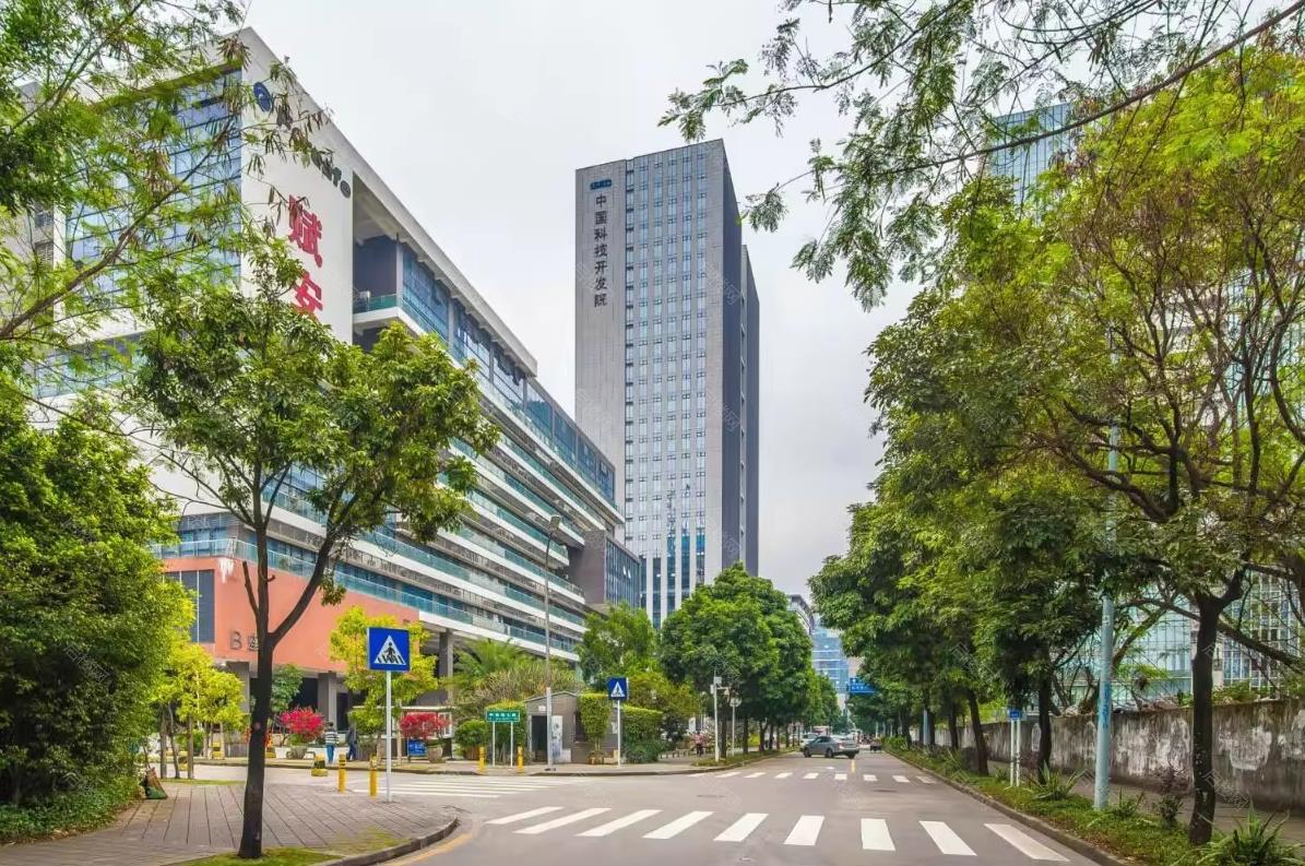 实景图