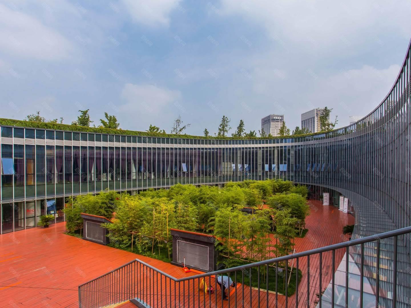 实景图