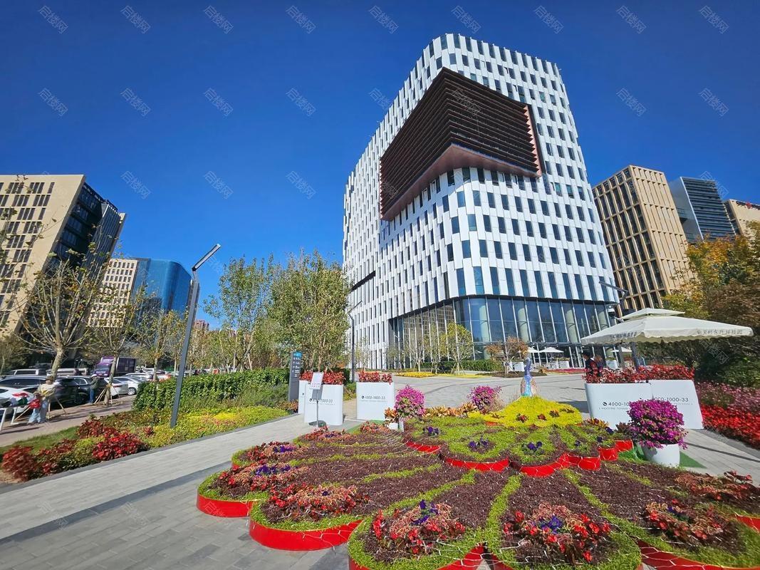 实景图