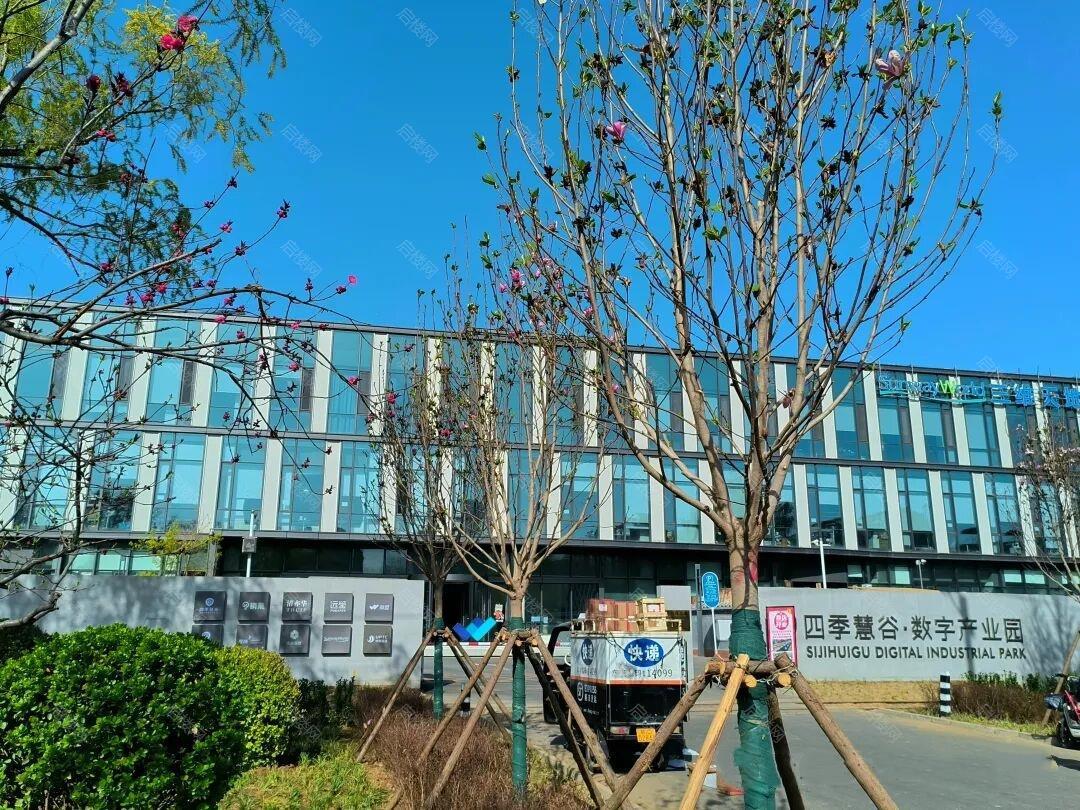 实景图